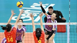 新赛季中国女排超级联赛打响 天津队揭幕战取得开门红