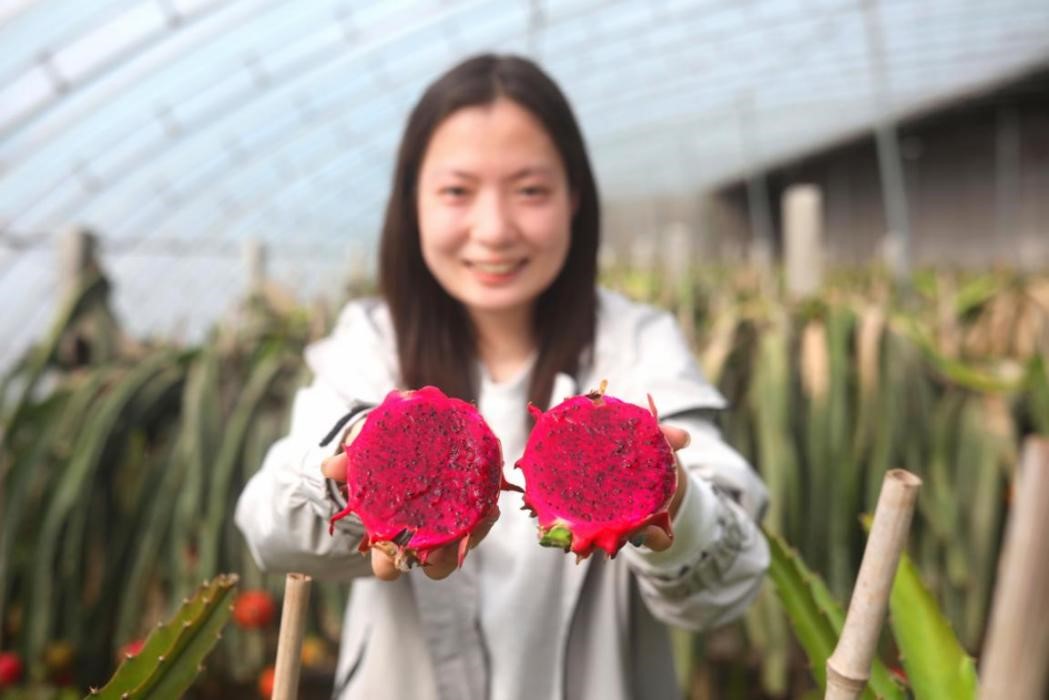 圖片默認標題_fororder_5