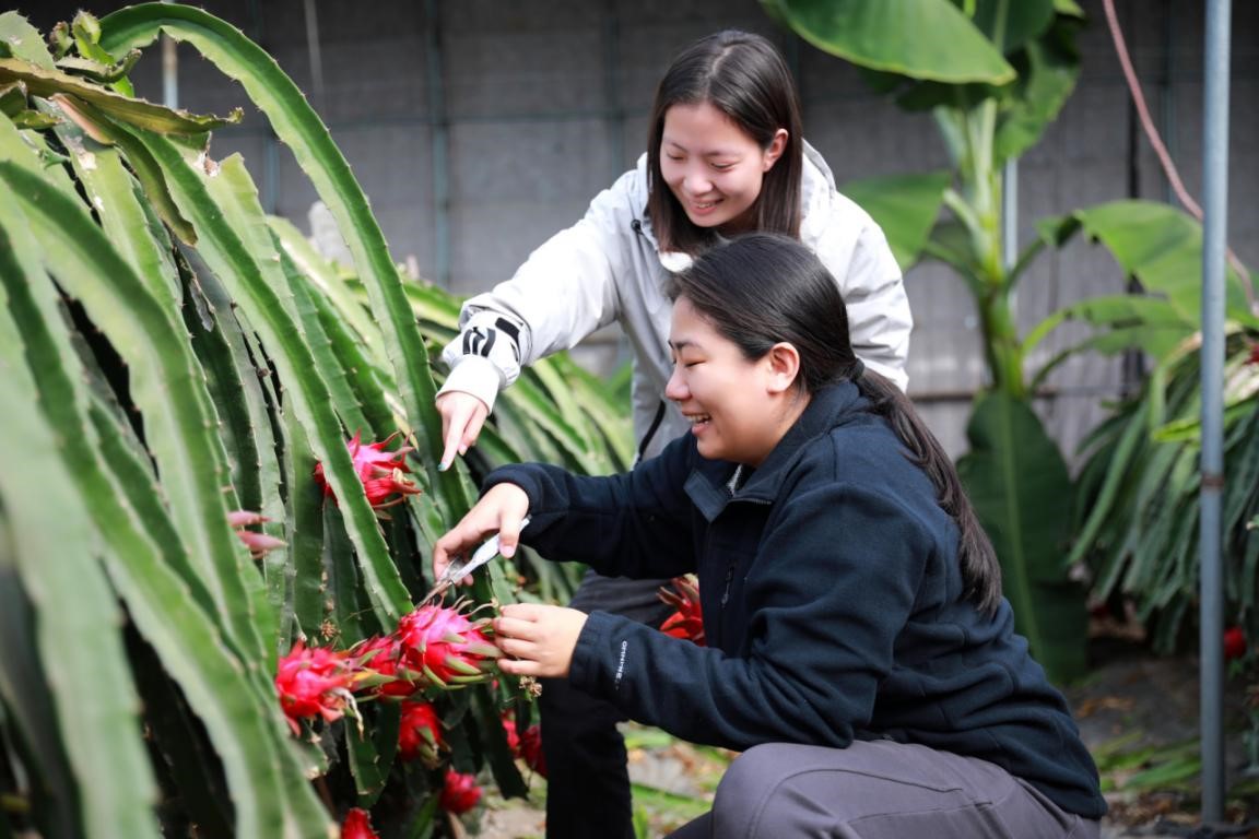 圖片默認標題_fororder_2