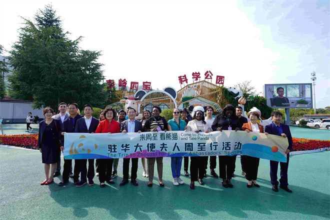 Las esposas de los embajadores acreditados en China visitan a Zhouzhi: se dieron cita con los pandas, "duendes de Qinling"_fororder_1