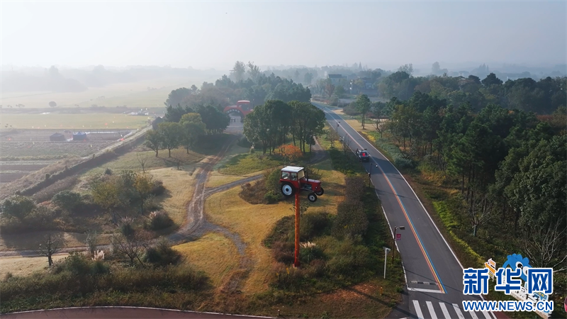 江苏溧阳：一路繁花 邂逅秋日限定浪漫