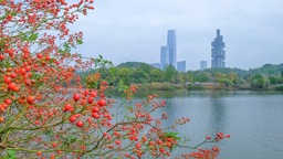 贵阳：踏秋赏景正当时
