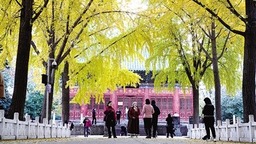 冬日街拍 来自郑州的独有浪漫