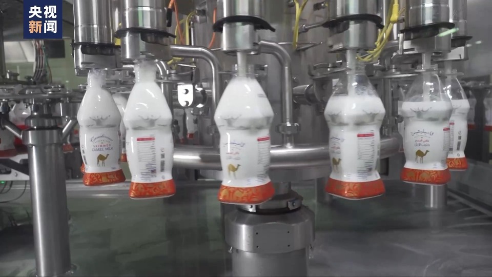 中国大市场 世界大机遇丨沿着“一带一路”而来 骆驼奶是如何炼成的