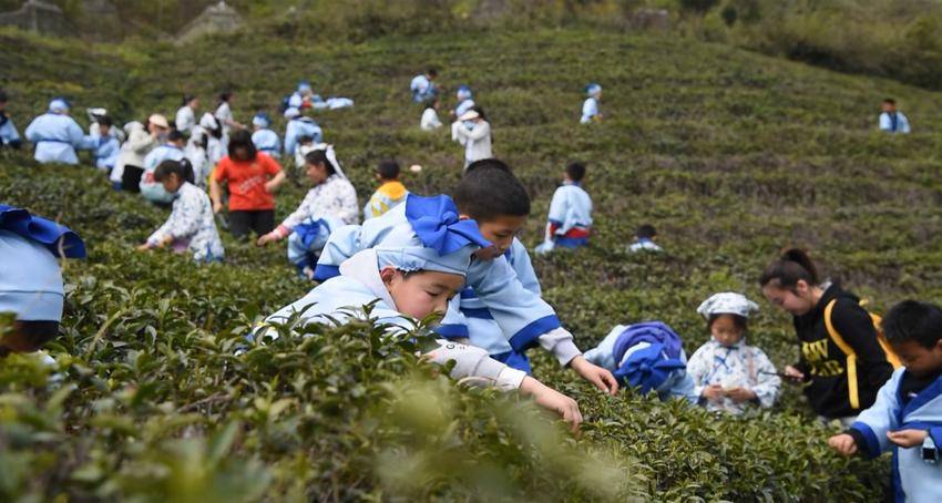 打造乡村振兴的共富样板——谷城县美丽乡村示范片建设纪实