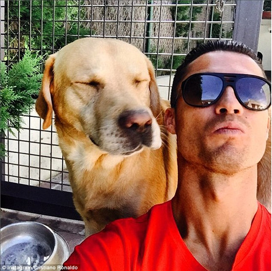 图片默认标题 图片默认标题