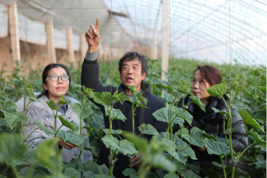 河北平泉：就业家门口 致富不离家_fororder_河北平泉：就业家门口 致富不离家780