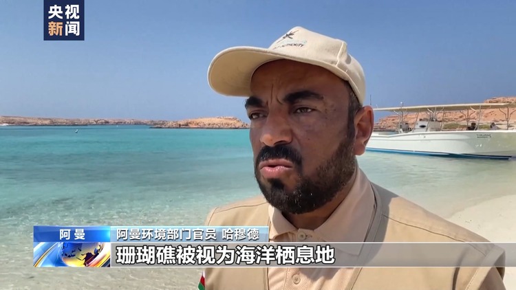 气候变化加海洋污染 阿曼珊瑚礁亟待保护