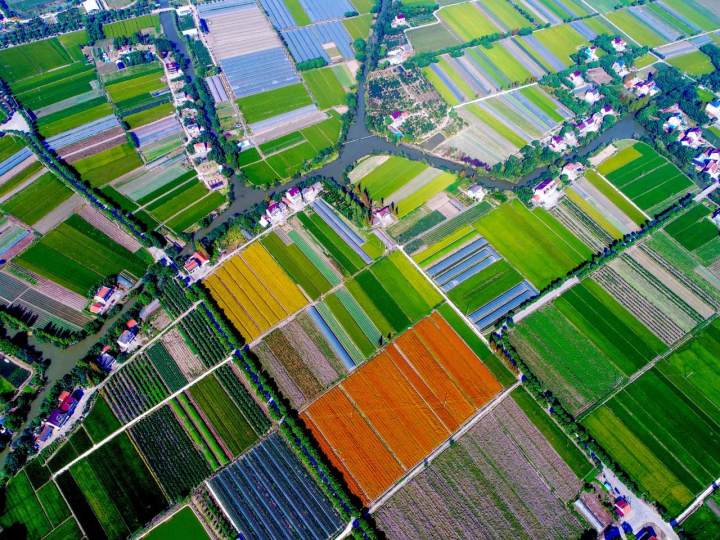 寻求“最优解”！嘉兴推进土地综合整治“一块地”集成改革_fororder_1732159376996847620_720px