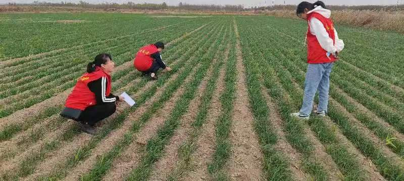 河北海興:科技助農為農民送去“科技餐”_fororder_圖片1