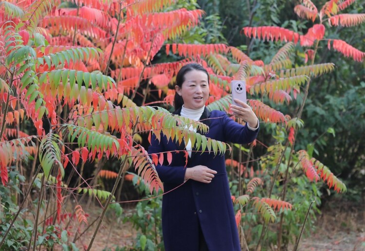 河北河间：技能比武竞赛展风采_fororder_3