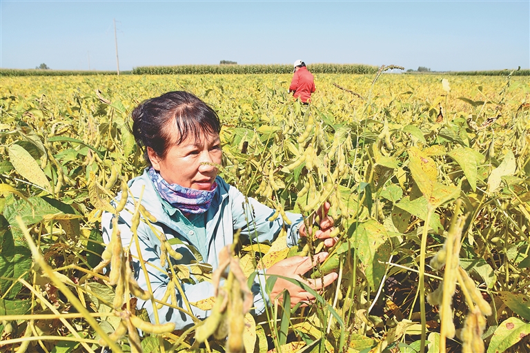 海倫:數字下田 農事上雲 高品質發展科技農業
