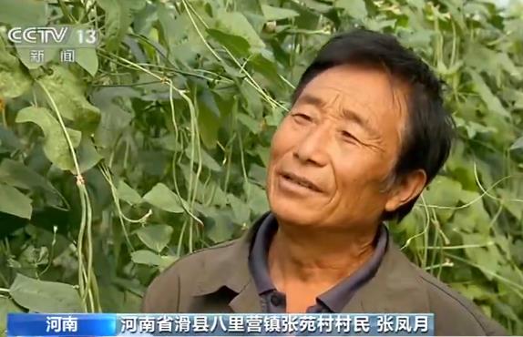 滑县八里营镇张苑村村民张凤月曾经是贫困户,他告诉记者,帮他脱贫的