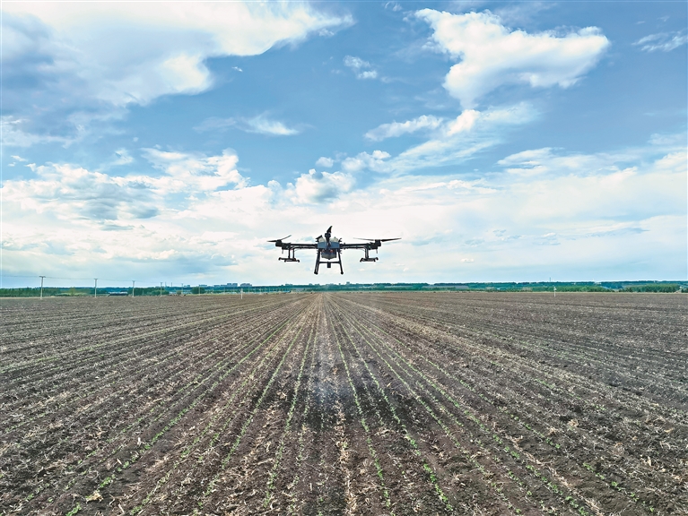 海倫:數字下田 農事上雲 高品質發展科技農業