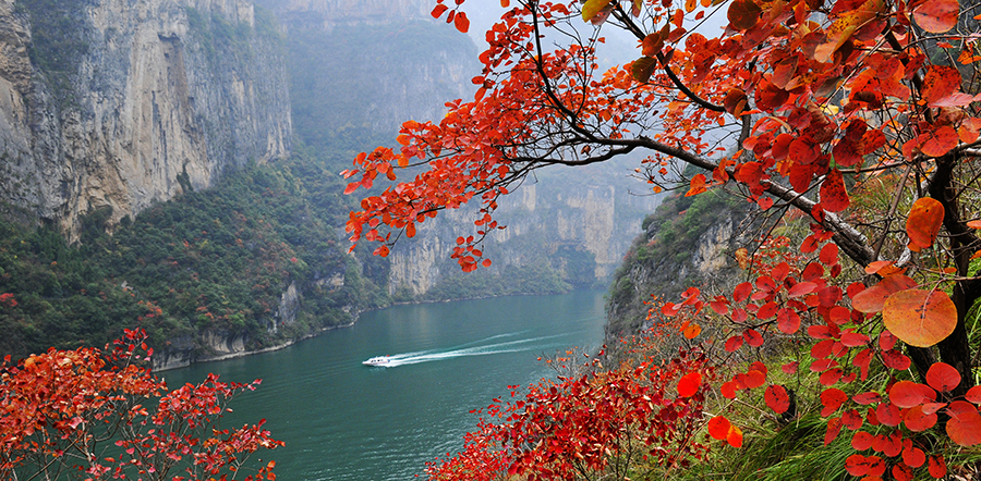 第十七屆中國·重慶長江三峽（巫山）國際紅葉節即將開幕_fororder_圖片1