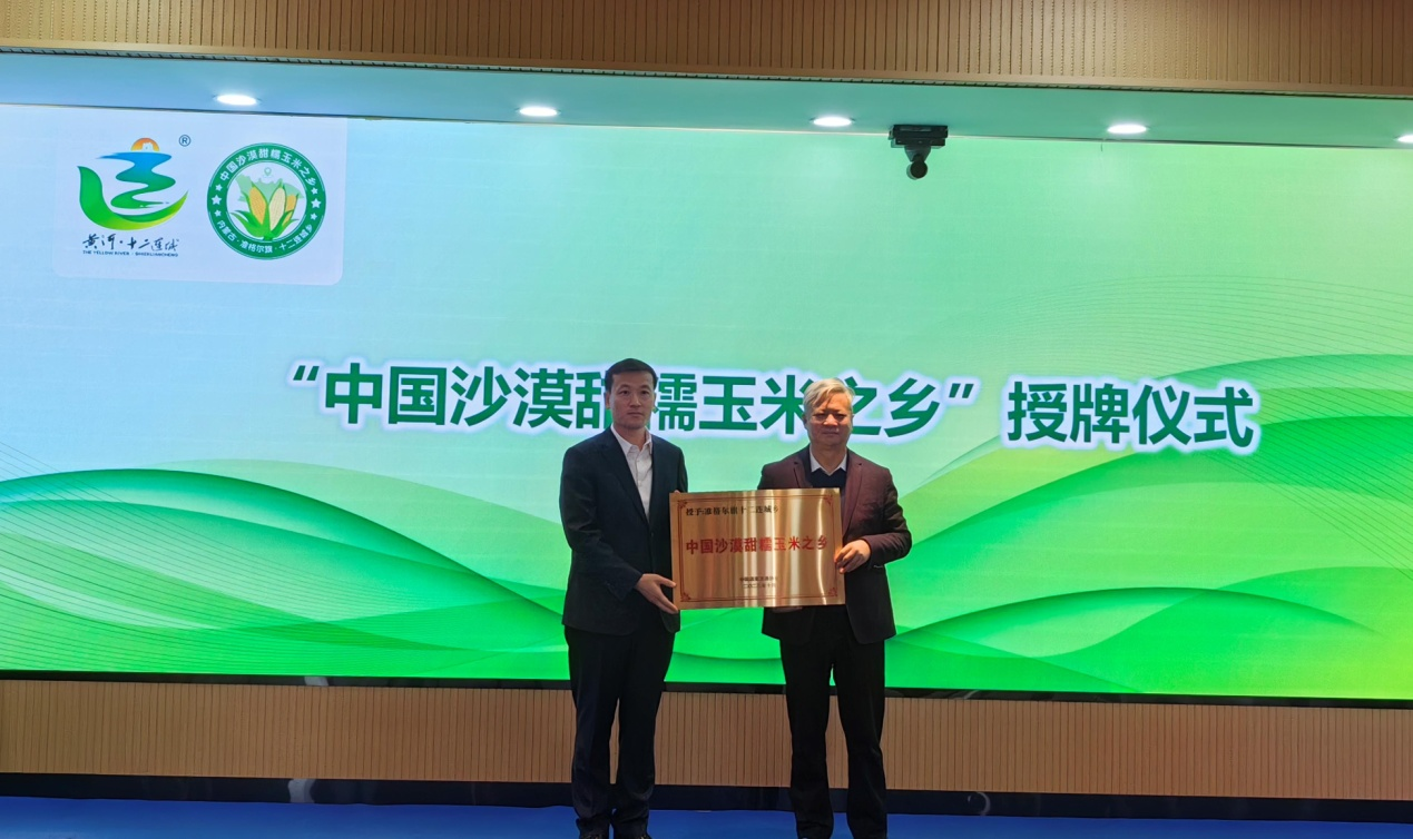 “中國沙漠甜糯玉米之鄉”落戶準格爾旗十二連城鄉