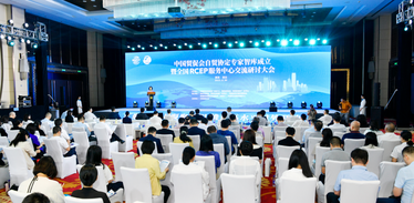 中國貿促會自貿協定專家智庫成立暨 全國RCEP服務中心交流研討大會 在西安舉辦
