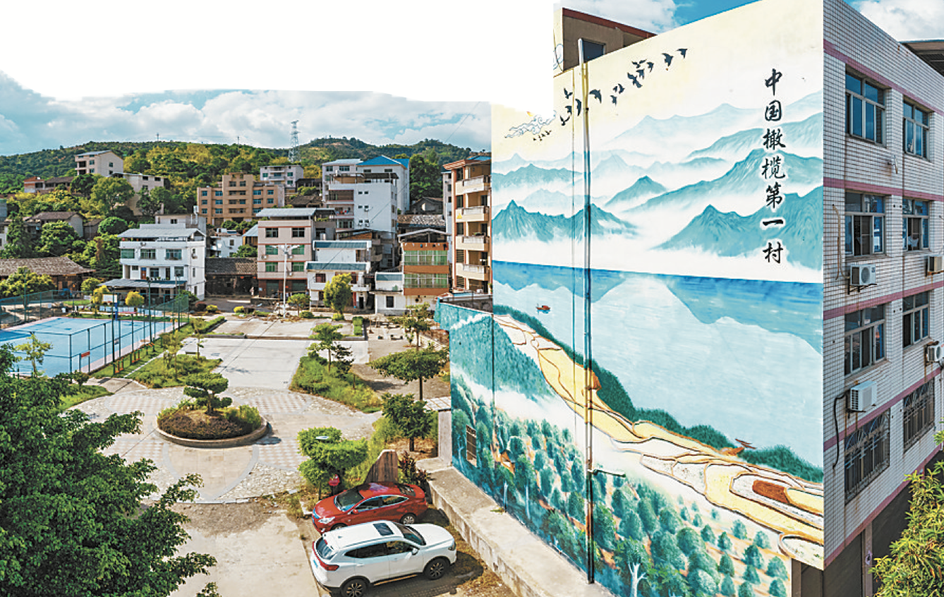 福州閩清梅埔：中國橄欖第一村_fororder_WX20231110-092244@2x