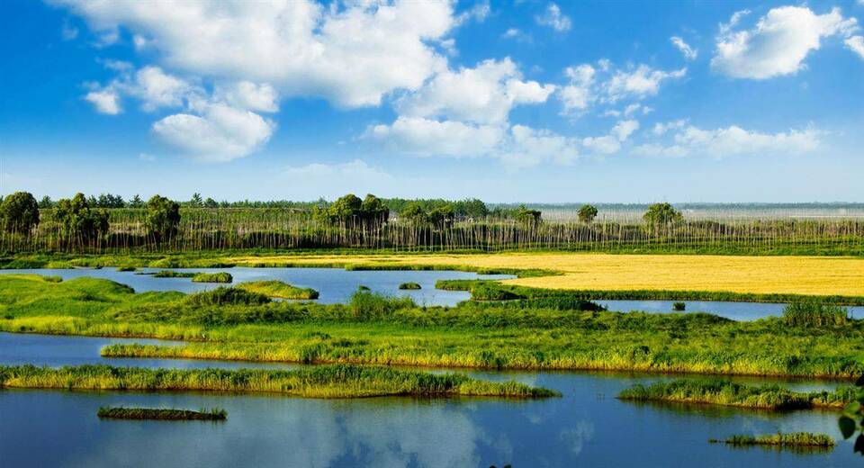 到2025年修复退化湿地10万亩以上 湖北省发布湿地保护规划