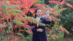 河北河間：技能比武競賽展風采