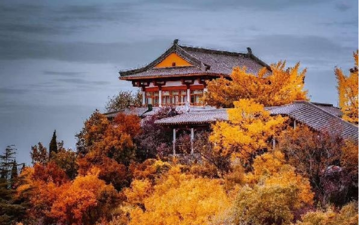 A Colorful Autumn Journey in Jinan_fororder_download