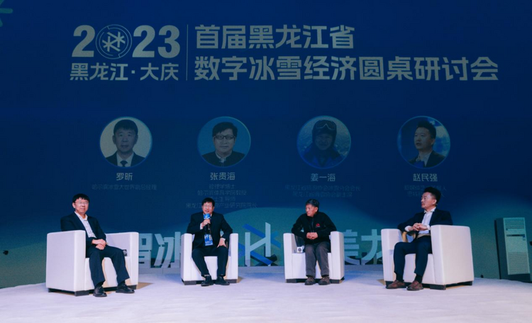 以數字之光賦能冰雪之美！首屆黑龍江省數字冰雪經濟研討會在大慶舉辦