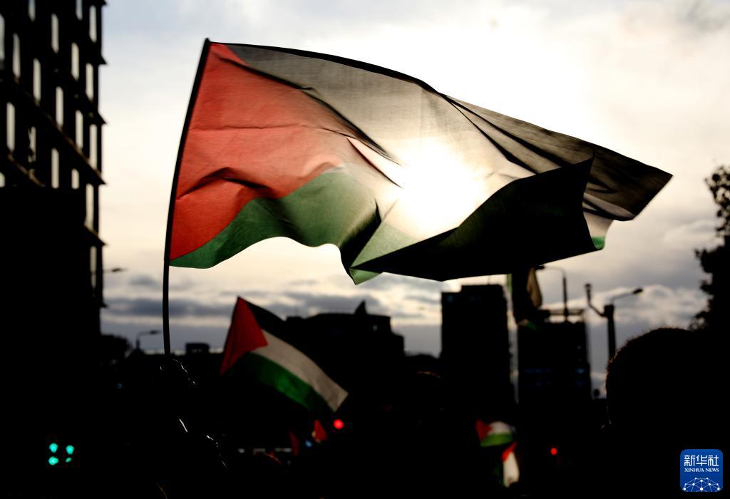 英国民众游行声援巴勒斯坦_fororder_4