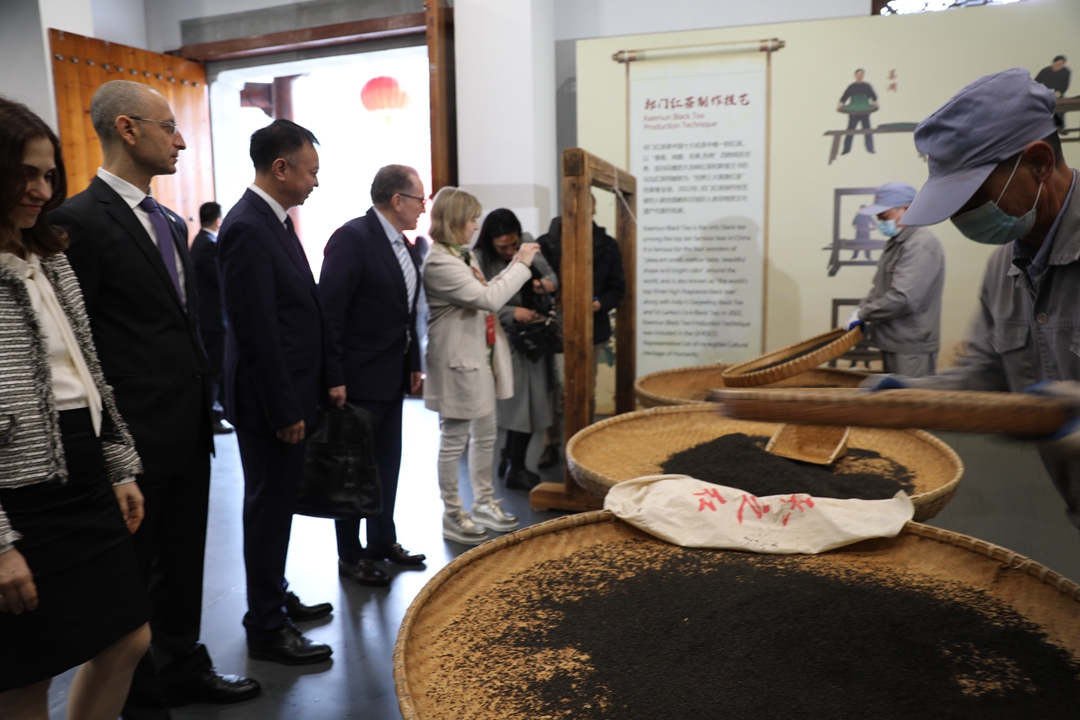 一杯祁红迎大使_fororder_微信图片_20231111113156