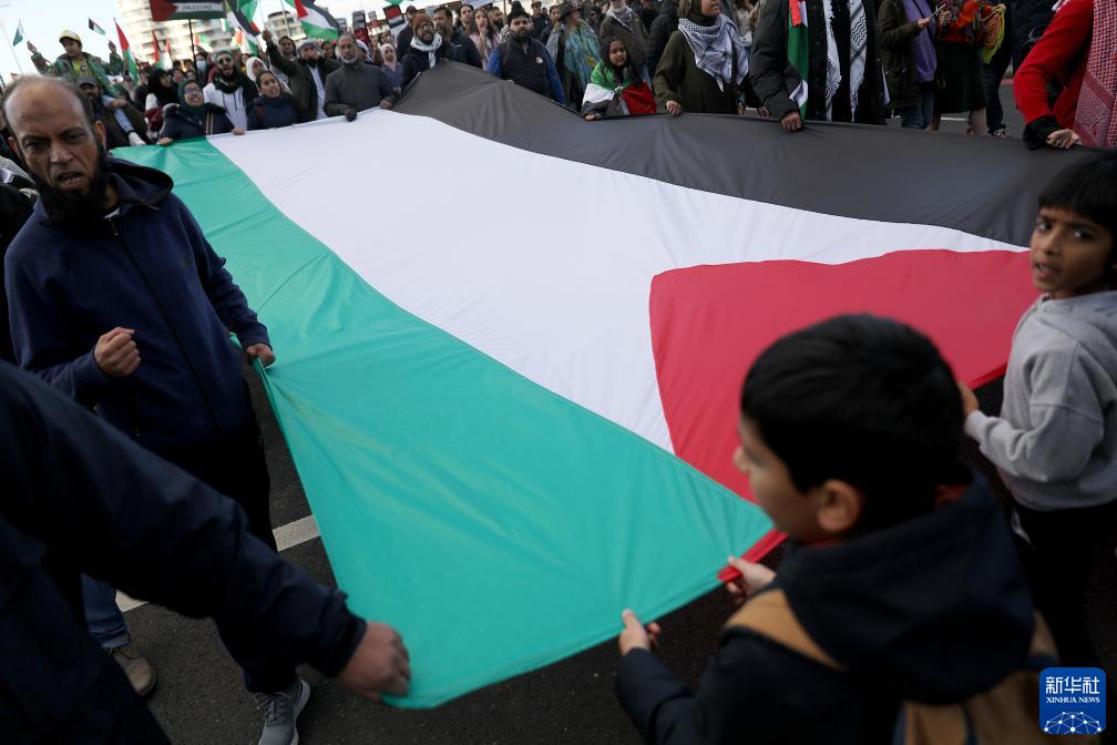 英国民众游行声援巴勒斯坦_fororder_2