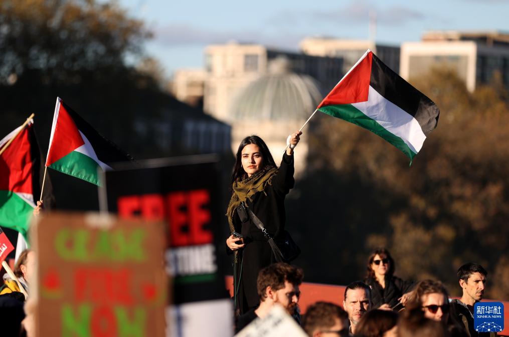 英国民众游行声援巴勒斯坦_fororder_1129971280_16997731871061n