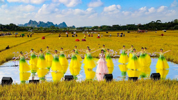 2023玉林市慶祝中國農民豐收節暨鬱上秋收稻田文化藝術節舉辦