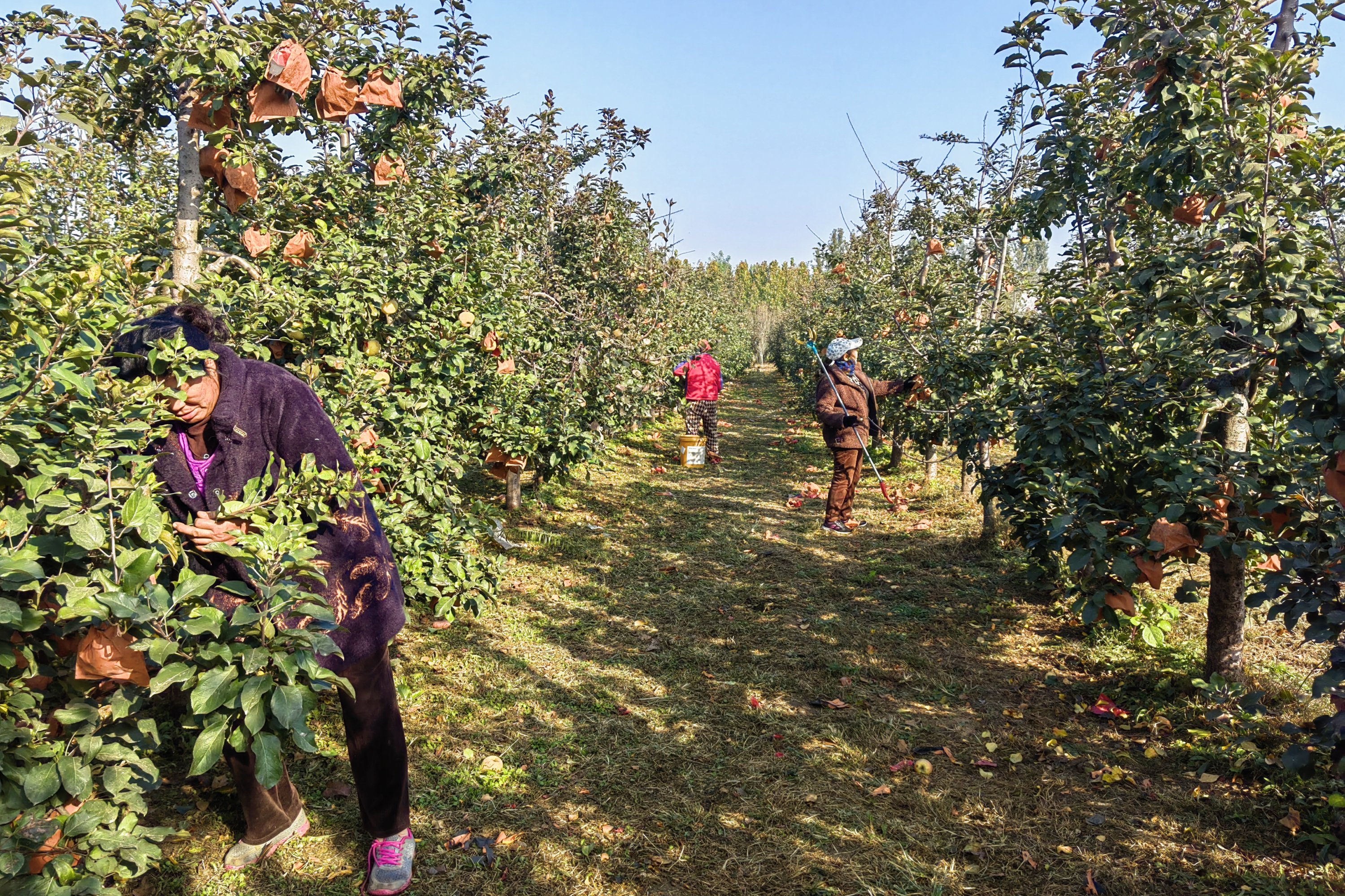 图片默认标题_fororder_006