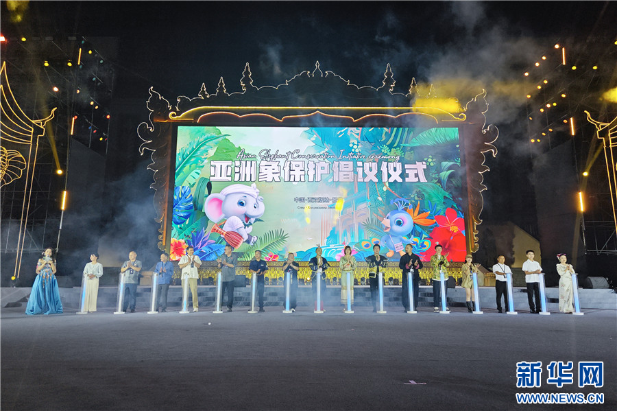 2023大象国际文化旅游节开幕式在景洪市举办