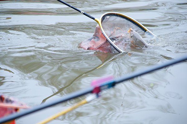 160余名選手齊聚宜賓翠屏 拋竿競技一決高下_fororder_魚兒上鉤-攝影-高學兵