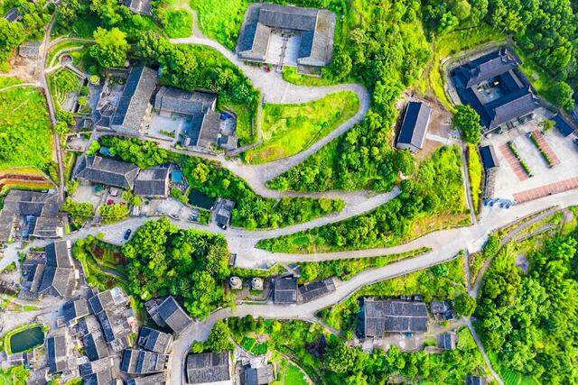 浙江温州：用艺术为乡村“上色” 好风景带来好“钱景”