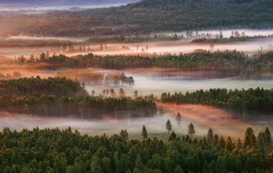 黑龙江四处湿地入选国家重要湿地名录