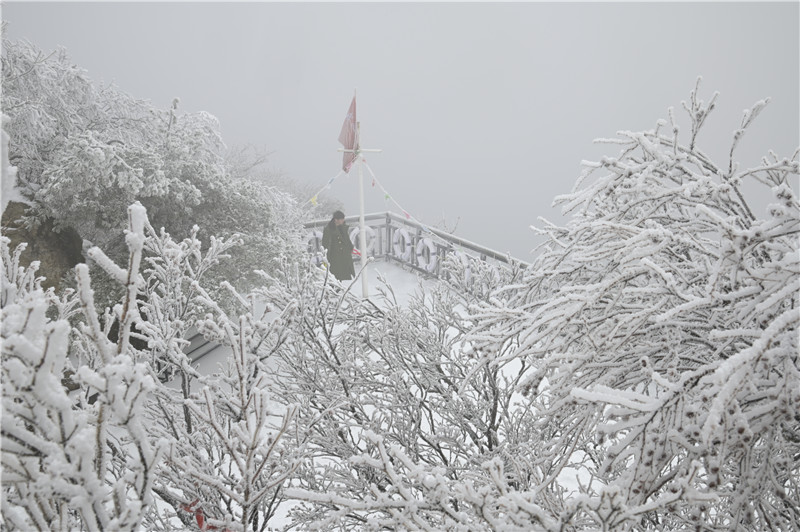 南阳老界岭：雪景盛宴 美不胜收_fororder_老界岭雪景 摄影 杨永青