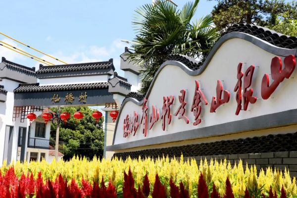 【大国新村：沿着总书记的足迹】上海崇明：美丽经济扮靓和美乡村