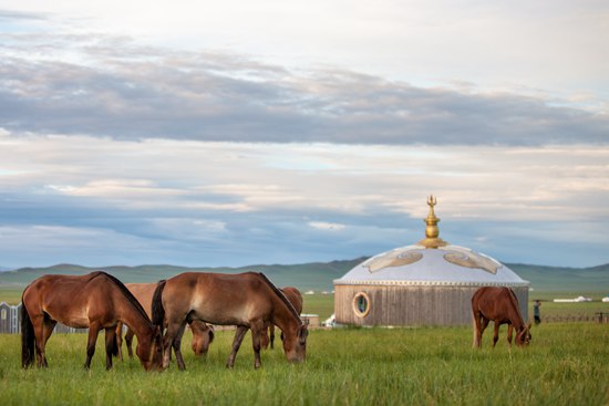 促文旅产业提档升级 内蒙古启动文化旅游创意设计大赛