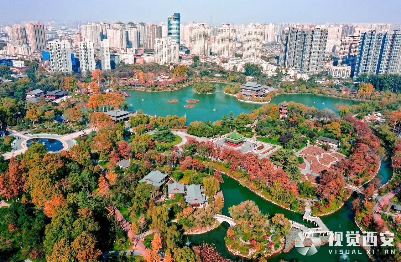 初冬兴庆宫公园宛如缤纷画卷