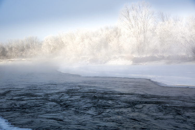 零下40度的湿地日出_fororder_额尔古纳不冻河蒸腾的水汽让河岸的树枝挂满雾凇。（摄影：才广）