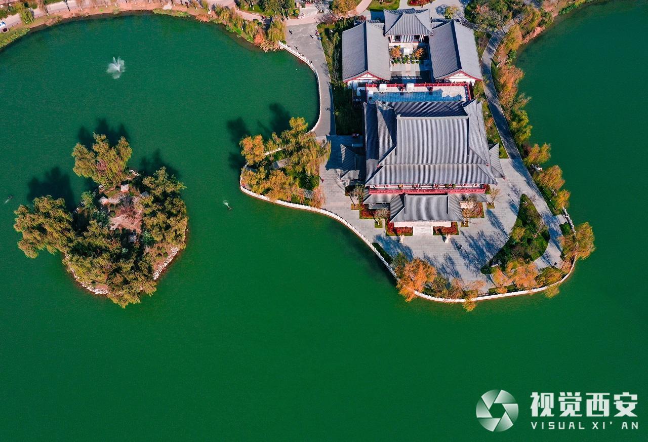 初冬兴庆宫公园宛如缤纷画卷