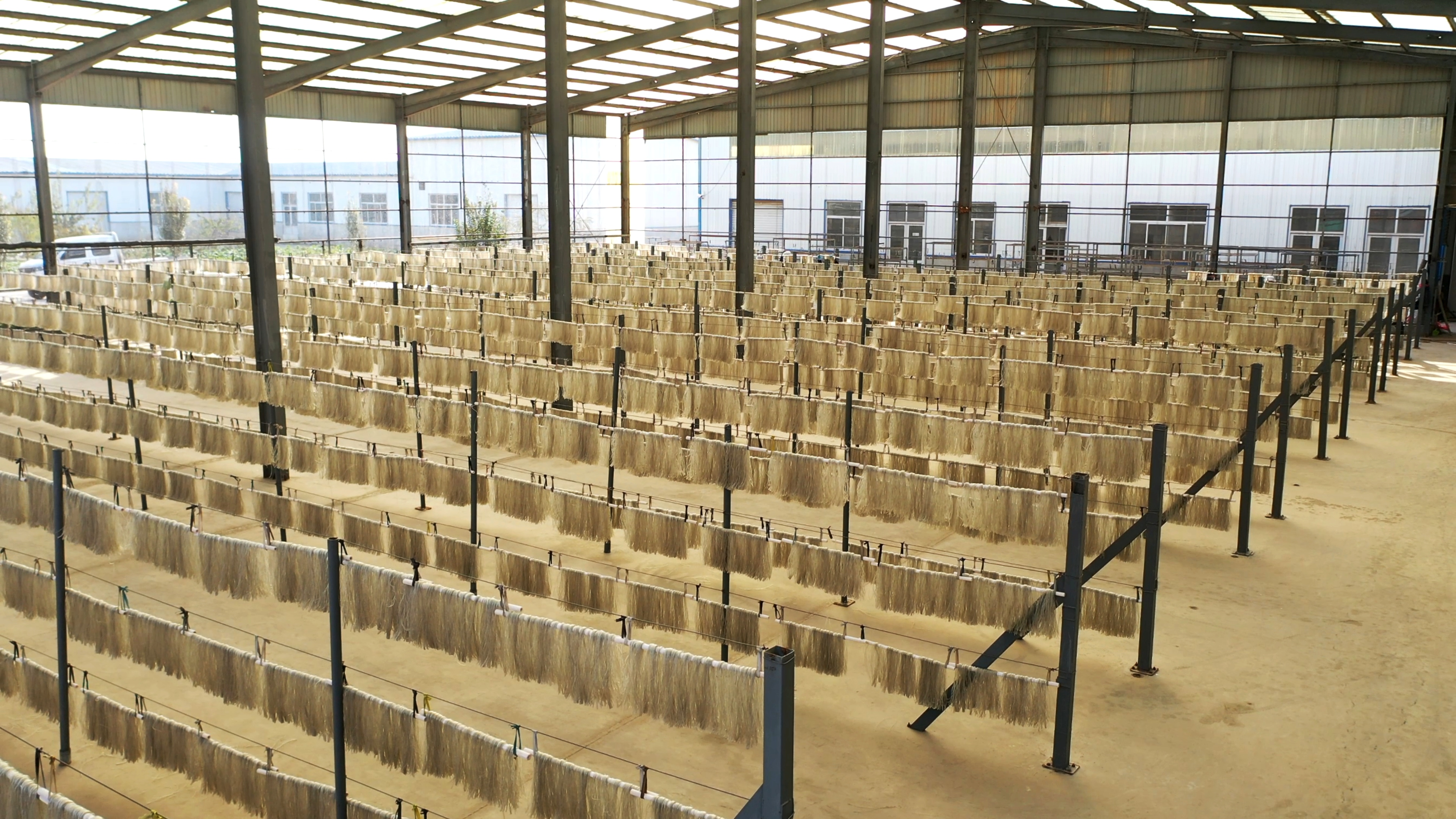 河北孟村：紅薯粉條成為農民增收“小銀條”_fororder_圖片1