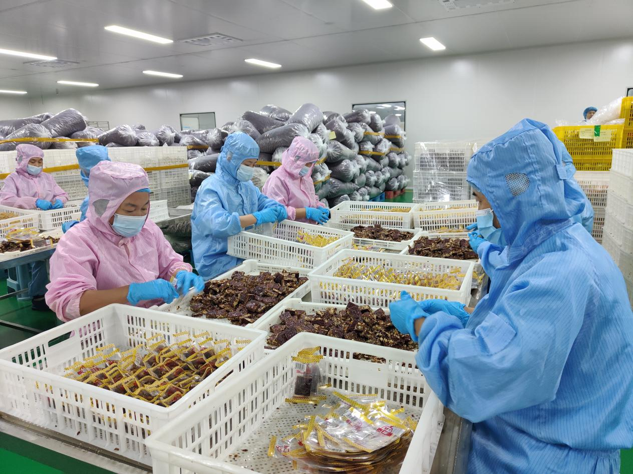 （原創）産業新故事丨滄縣“棗”就想你了_fororder_圖片1