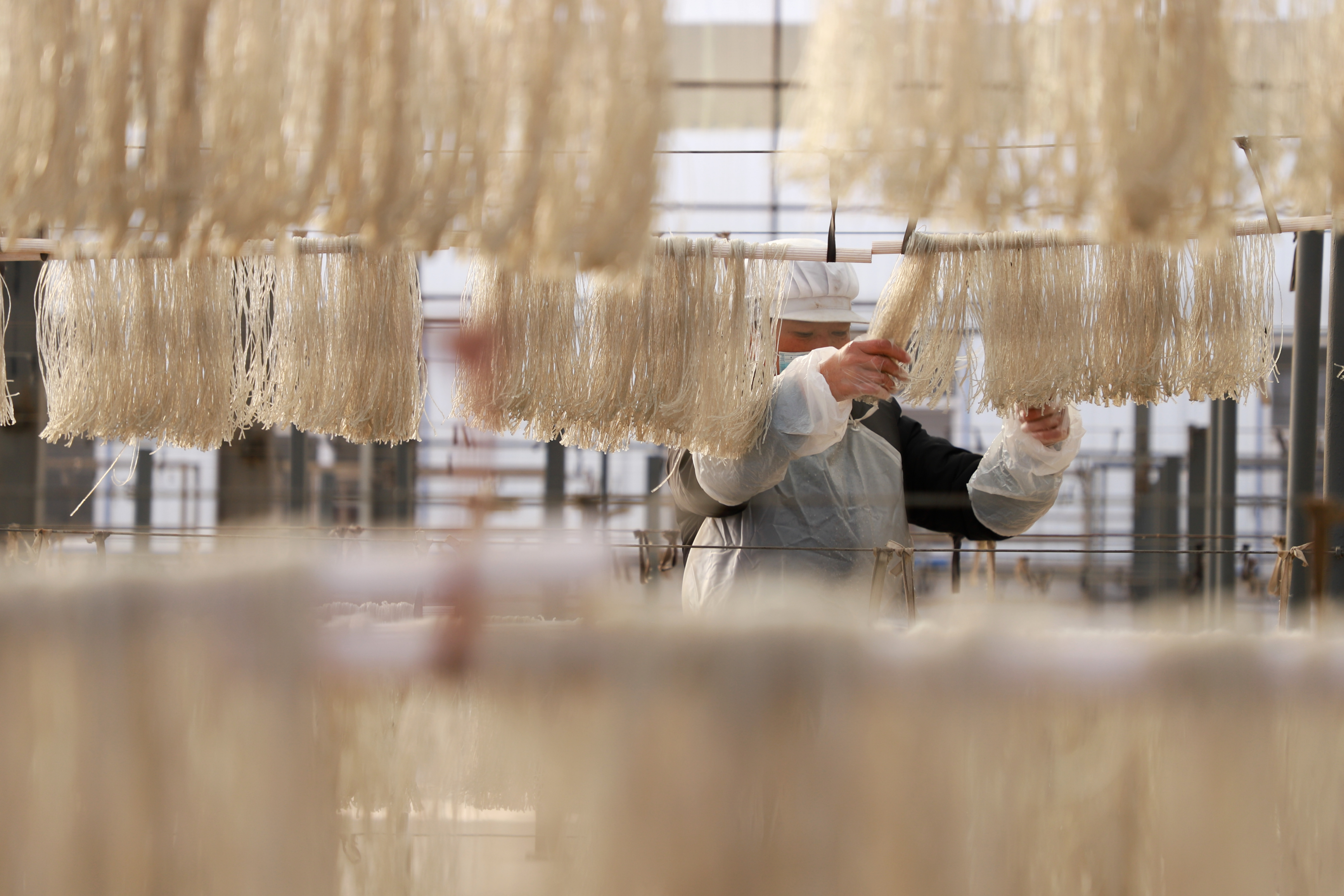 河北孟村：紅薯粉條成為農民增收“小銀條”_fororder_圖片2