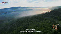 国际青年说｜遇见“一带一路”乐队