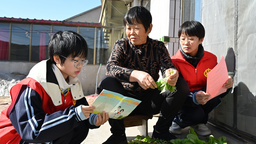 河北鹽山：爭做河小青 共護母親河