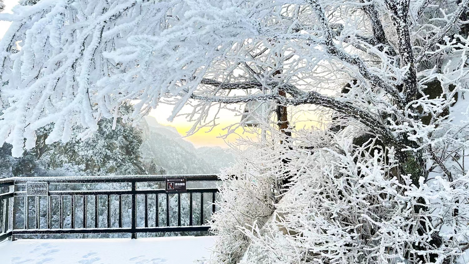 飞雪落成诗 一秒入仙境！雪后河南 美出“天际”