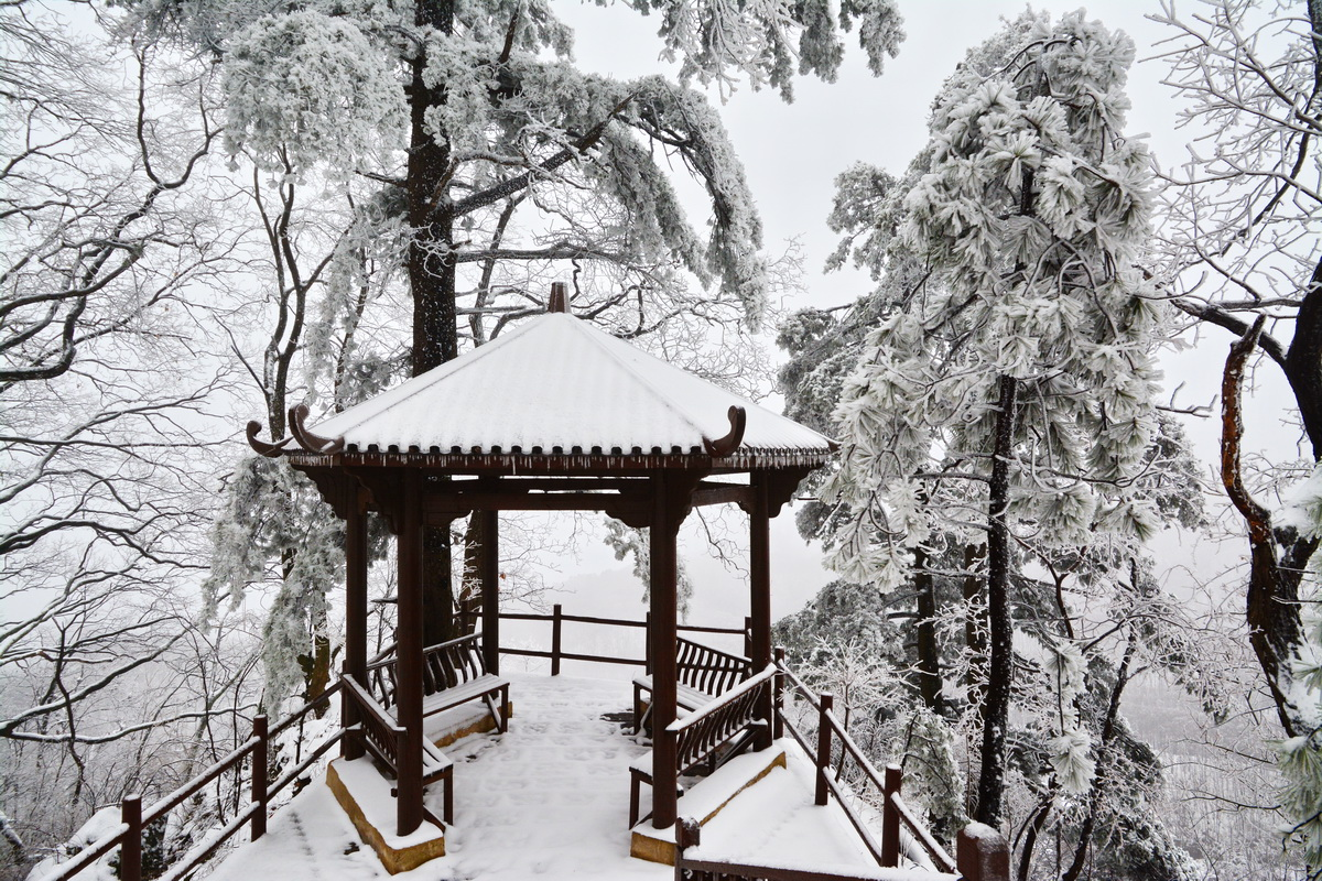 飞雪落成诗 一秒入仙境！雪后河南 美出“天际”