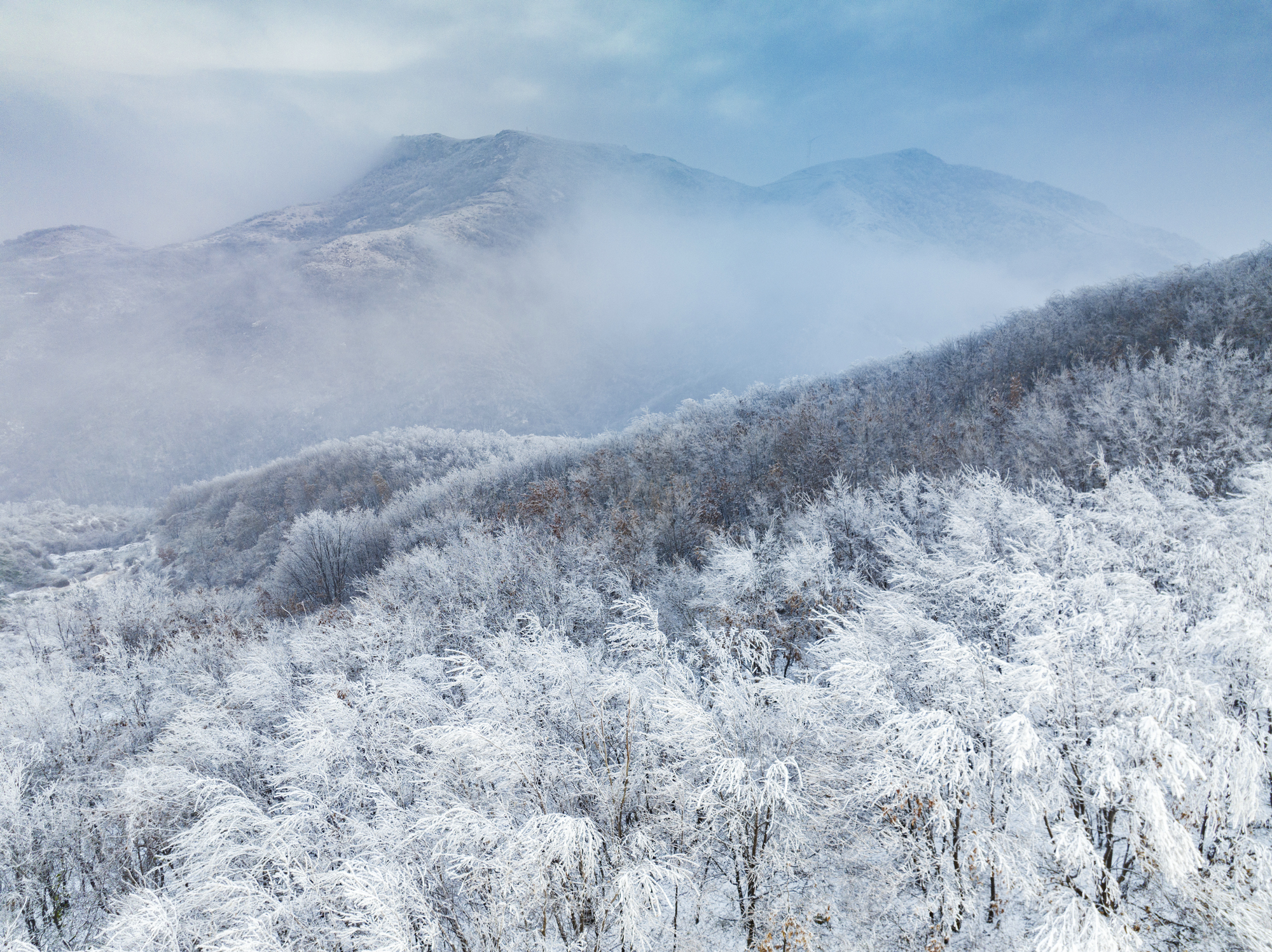 飞雪落成诗 一秒入仙境！雪后河南 美出“天际”